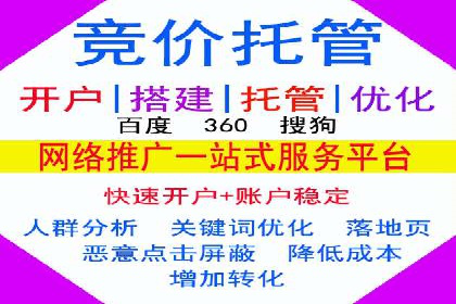 百度竞价广告成功案例：如何实现ROI最大化